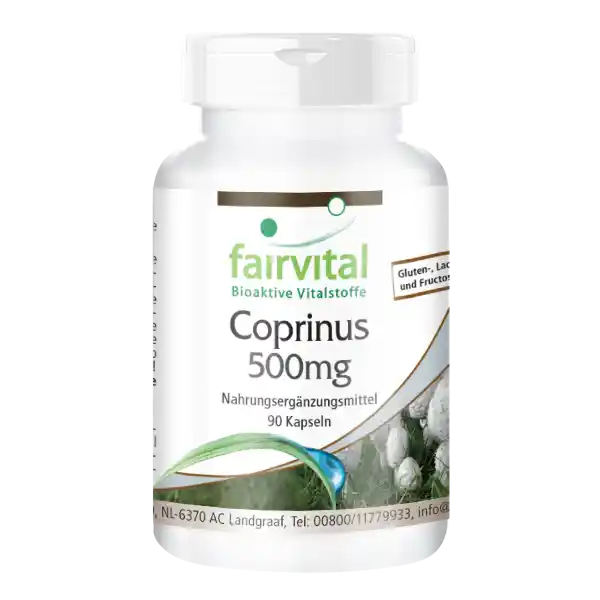 Coprinus 500mg - 90 capsule