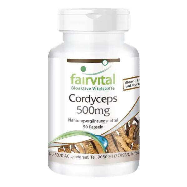 Cordyceps 500mg - 90 gélules