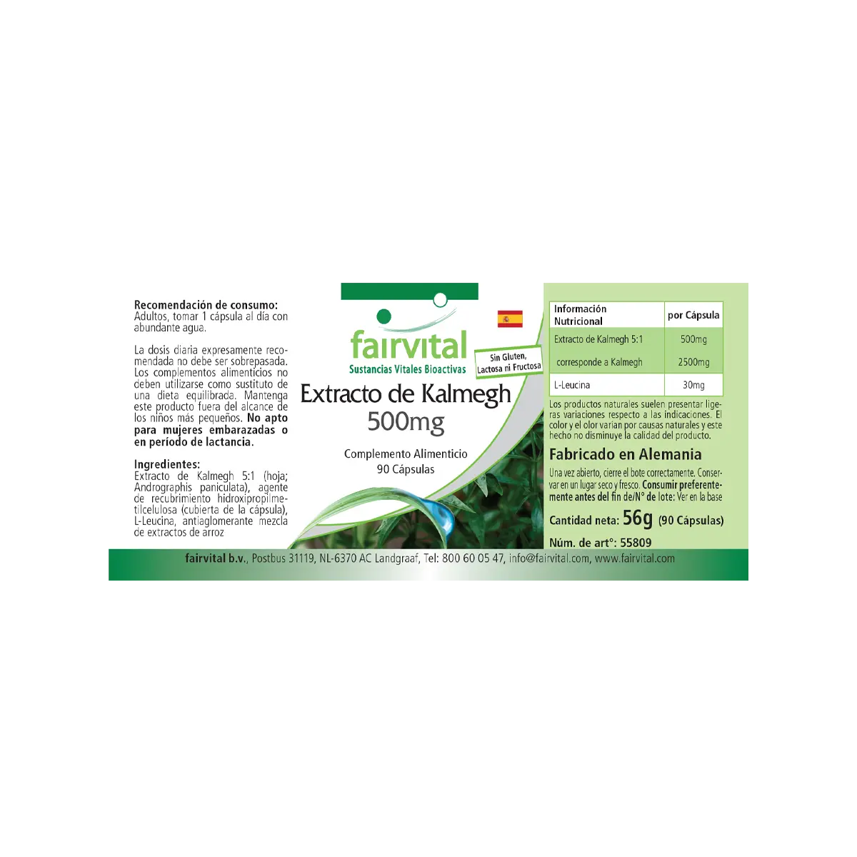 Kalmegh Extrakt 500mg - 90 Kapseln - 5-fach konzentriert - Hochdosiert und Vegan | Fairvital Kalmegh Extrakt 500mg - 90 Kapseln - 5-fach konzentriert - Hochdosiert und Vegan | Fairvital